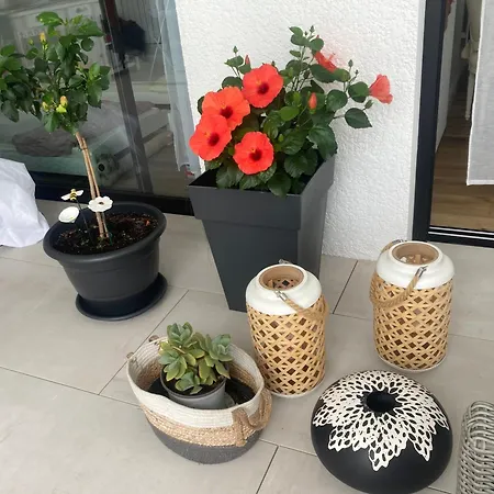 Charmante Dependance Bed & Breakfast